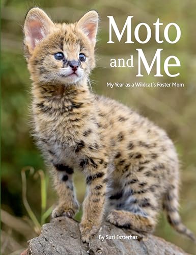cover image Moto and Me: My Year as a Wildcat’s Foster Mom