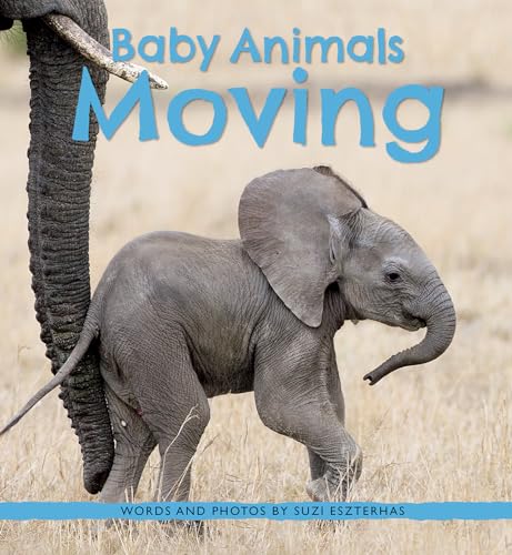 cover image Baby Animals Moving
