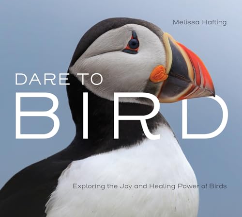 cover image Dare to Bird: Exploring the Joy and Healing Power of Birds