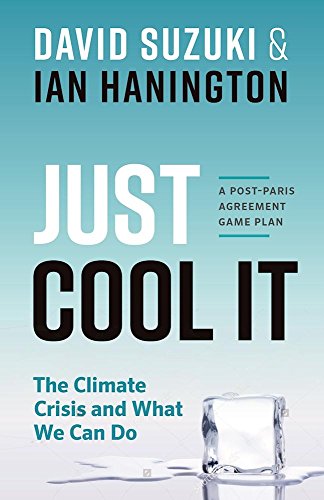cover image Just Cool It! The Climate Crisis and What We Can Do: A Post–Paris Agreement Game Plan