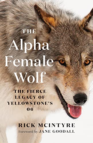 cover image The Alpha Female Wolf: The Fierce Legacy of Yellowstone’s 06