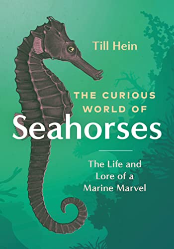 cover image The Curious World of Seahorses: The Life and Lore of a Marine Marvel