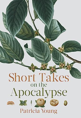 cover image Short Takes on the Apocalypse