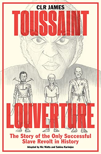 cover image Toussaint Louverture: The Story of the Only Successful Slave Revolt in History