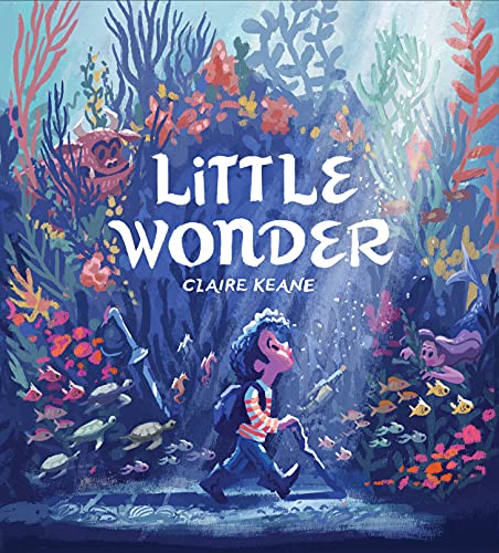 cover image Little Wonder