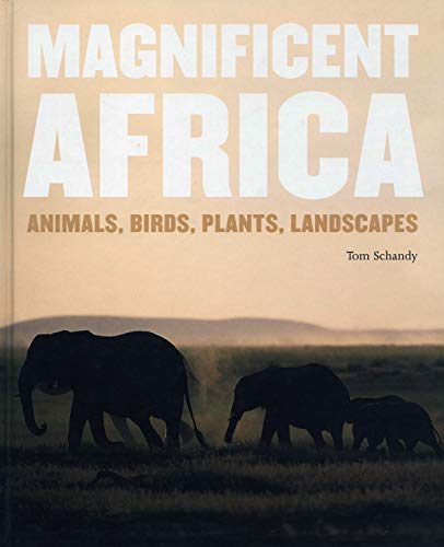 cover image Magnificent Africa