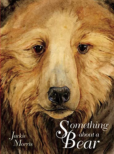 cover image Something About a Bear