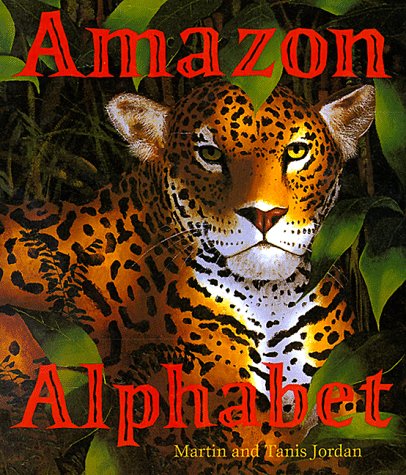 cover image Amazon Alphabet