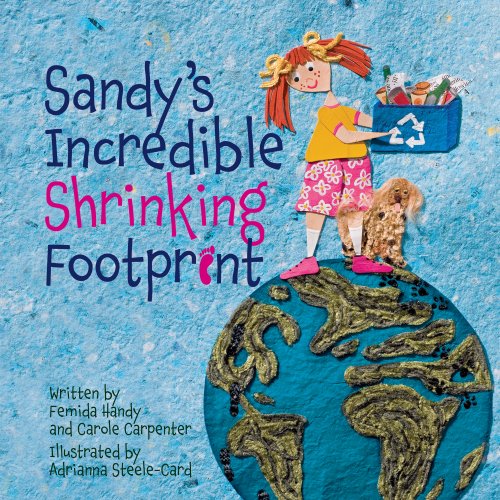 cover image Sandy's Incredible Shrinking Footprint