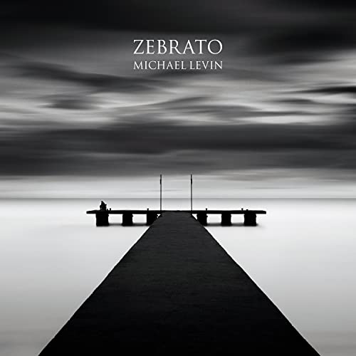 cover image Zebrato