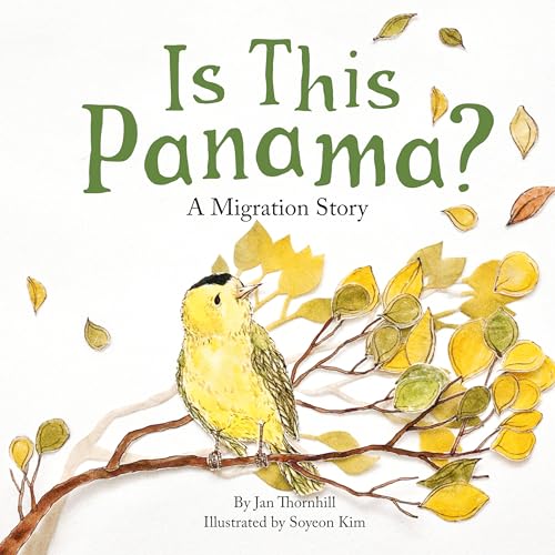 cover image Is This Panama? A Migration Story