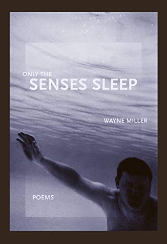 cover image Only the Senses Sleep