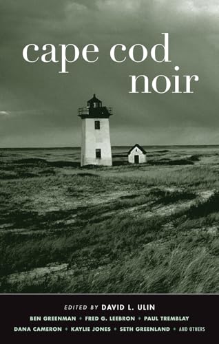 cover image Cape Cod Noir