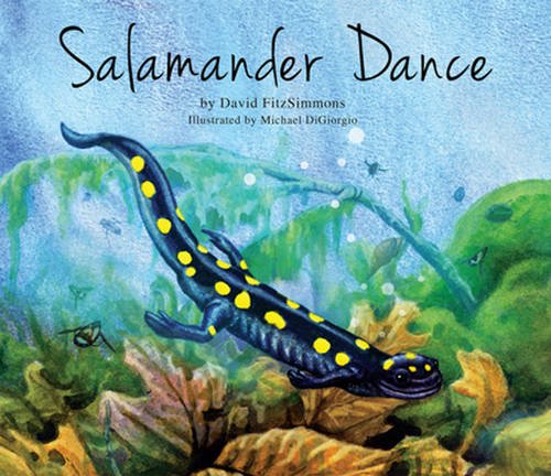 cover image Salamander Dance