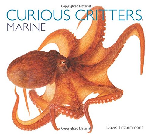 cover image Curious Critters: Marine