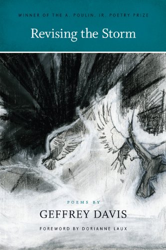 cover image Revising the Storm