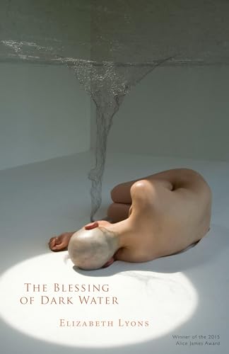 cover image The Blessing of Dark Water