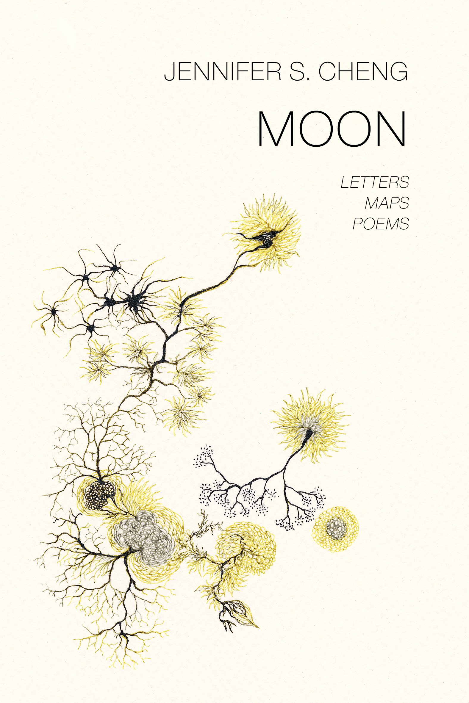 cover image Moon: Letters, Maps, Poems 