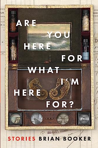 cover image Are You Here for What I’m Here For? 