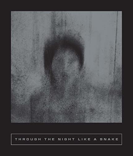 cover image Through the Night Like a Snake: Latin American Horror Stories