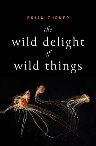 cover image The Wild Delight of Wild Things