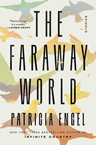 cover image The Faraway World
