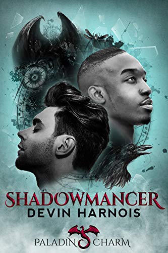 cover image Shadowmancer