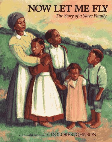 cover image Now Let Me Fly: The Story of a Slave Family