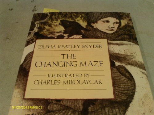 cover image The Changing Maze