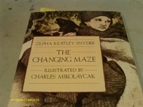 The Changing Maze