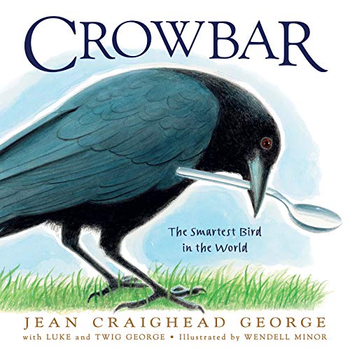 cover image Crowbar: The Smartest Bird in the World