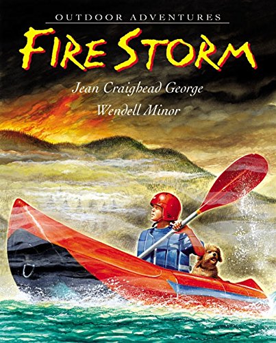 cover image Fire Storm