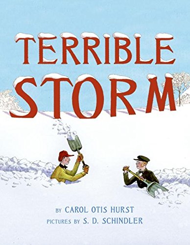 cover image Terrible Storm