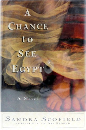 cover image A Chance to See Egypt