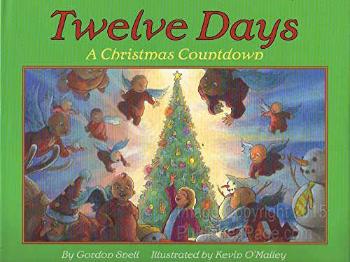 cover image TWELVE DAYS: A Christmas Countdown