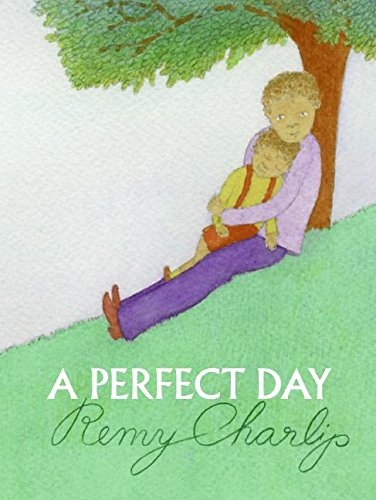 cover image A Perfect Day