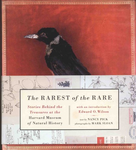 cover image THE RAREST OF THE RARE: Stories Behind the Treasures at the Harvard Museum of Natural History