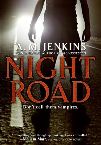 cover image Night Road