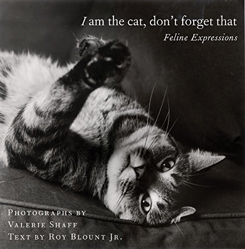 cover image I Am the Cat, Don't Forget That: Feline Expressions