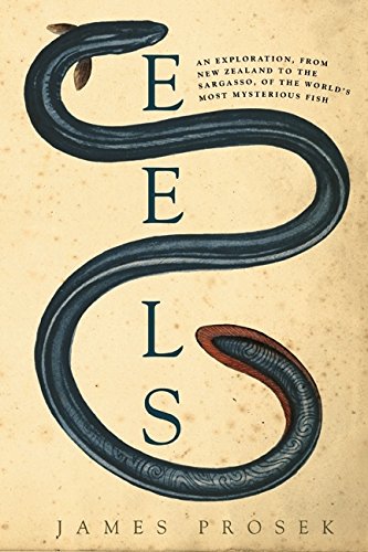cover image Eels: An Exploration, from New Zealand to the Sargasso, of the World's Most Mysterious Fish 