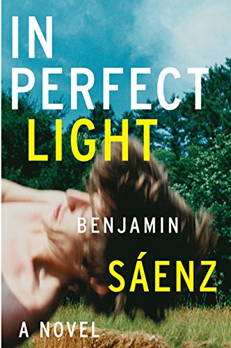 cover image In Perfect Light