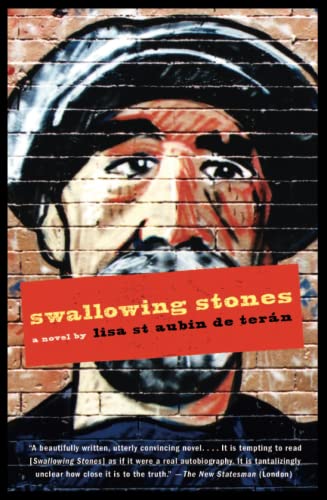 cover image Swallowing Stones