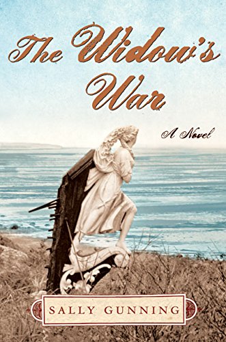 cover image The Widow's War