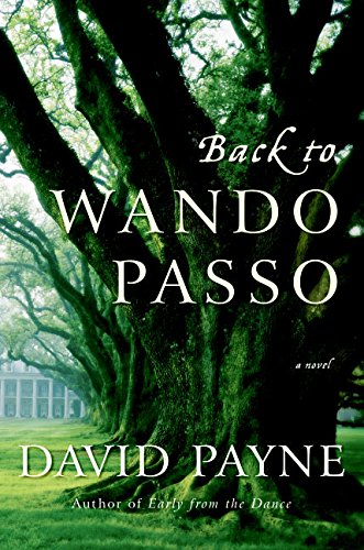 cover image Back to Wando Passo