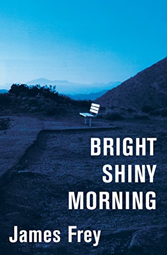 cover image Bright Shiny Morning