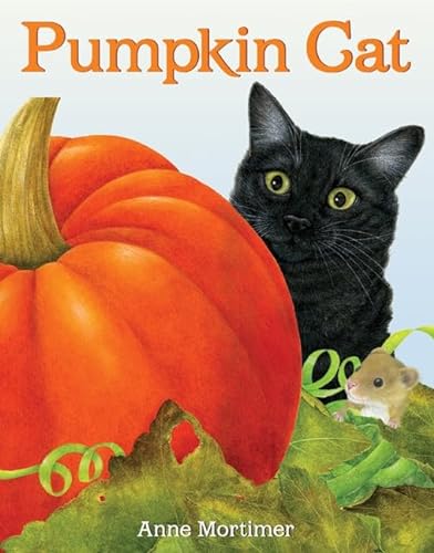 cover image Pumpkin Cat