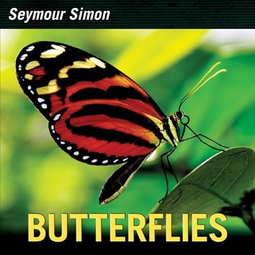 cover image Butterflies