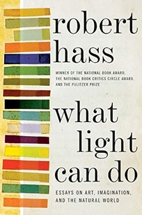 What Light Can Do: Essays on Art