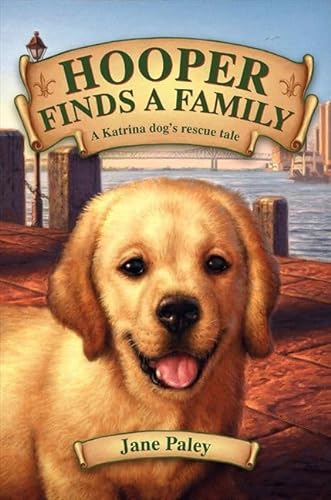 cover image Hooper Finds a Family: A Hurricane Katrina Dog's Survival Tale