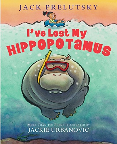 cover image I’ve Lost My Hippopotamus